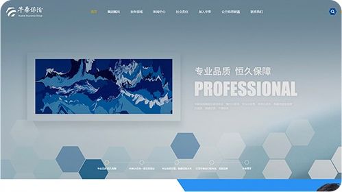 品牌网站建设 官方网站建设 大型行业门户网站设计 北京分形科技