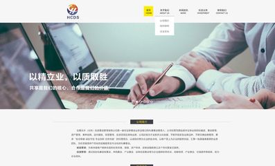 北京网站建设营销型网站建设行业网站建设企业网站定制开发-科威鲸网络-科威网络科技