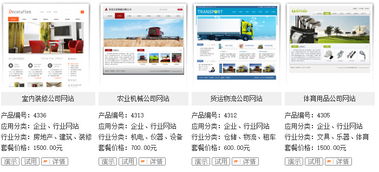 赛偶网络八年辉煌 北京企业网站建设领航者