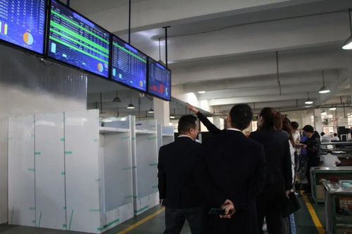 又一工业互联网标杆企业诞生——三胜电器数智化工厂项目总结大会在北京圆满召开