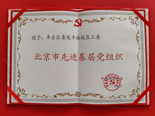 抓牢党建“红钥匙”，凝心聚力谱新篇——宛平城地区党工委荣获北京市先进基层党组织称号