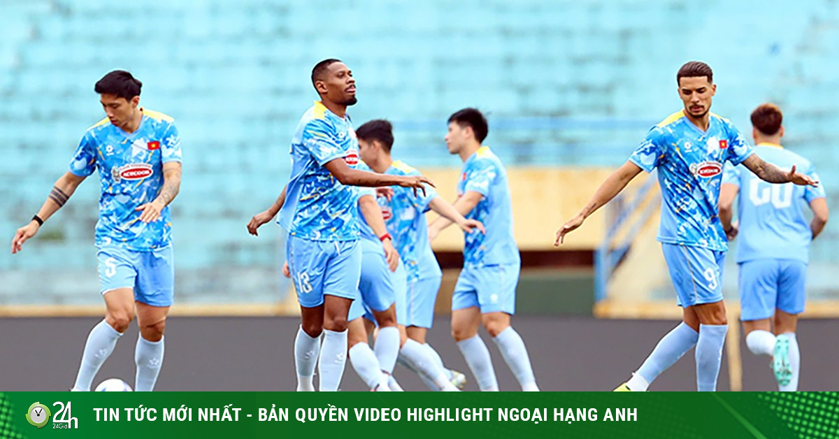 Cody Gakpo: Hành trình từ PSV đến trụ cột của Liverpool