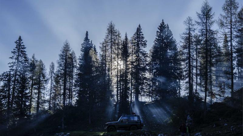 Đức vs Ghana ngày 30/03/2026: Thông tin trực tiếp, đội hình dự kiến và dự đoán tỷ số